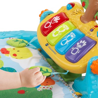 Lil critters discount musical glow gym
